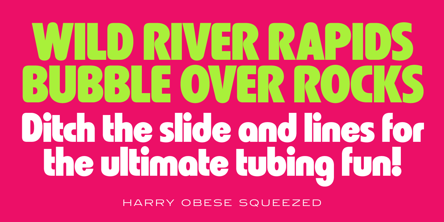 Harry Pro Obese Font preview
